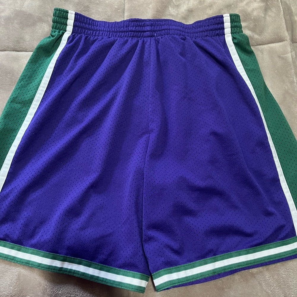 Milwaukee Bucks NBA Nike Team Shorts